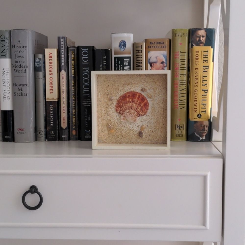 Beachy Shell Shadow Box Wall Art
